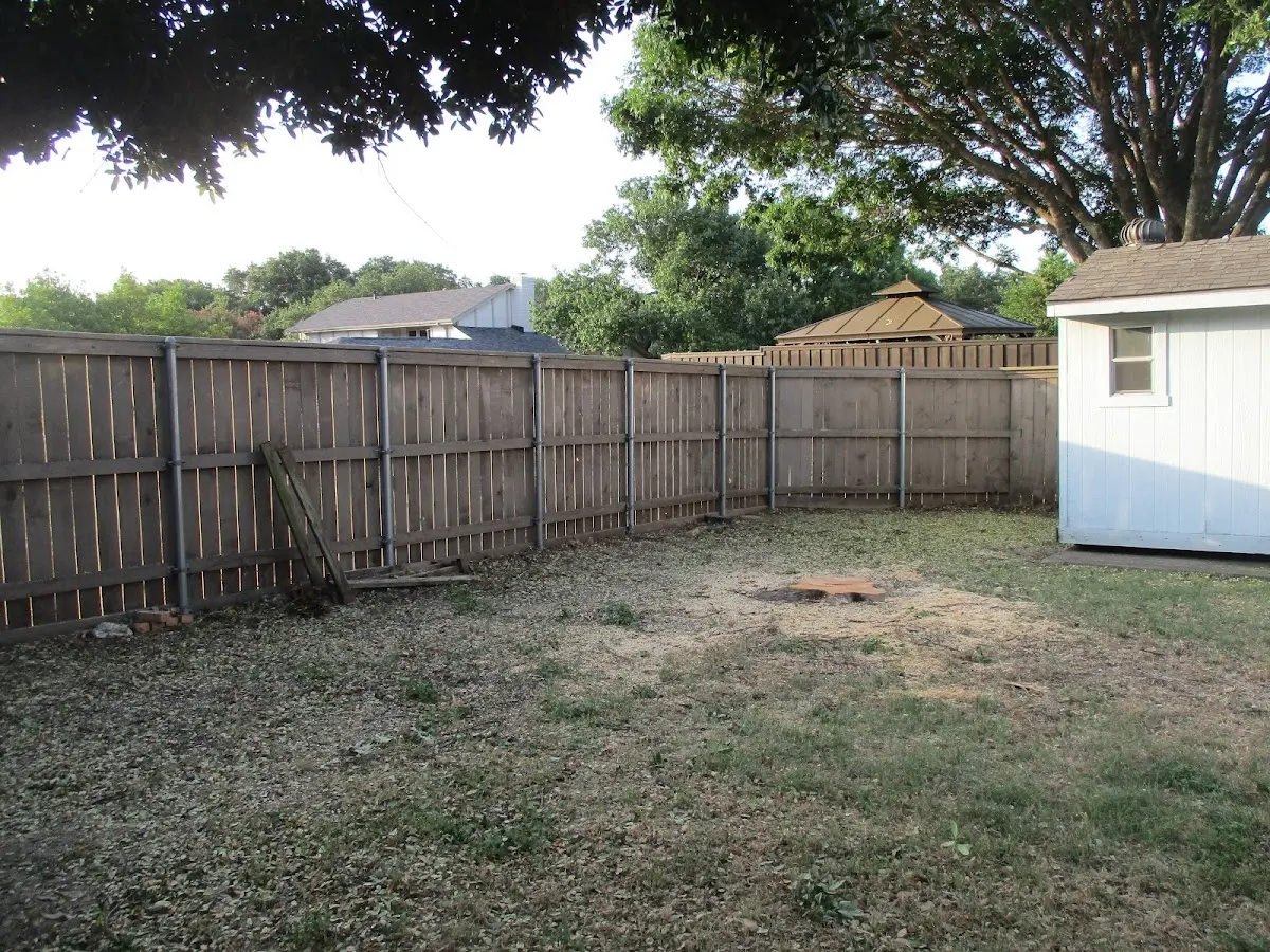 Cleared yard after professional tree removal in Alfred